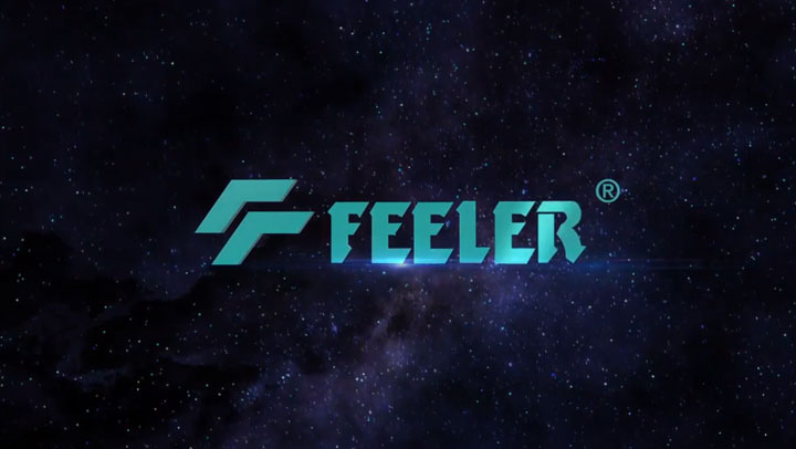 FFG-FEELER Company Profile